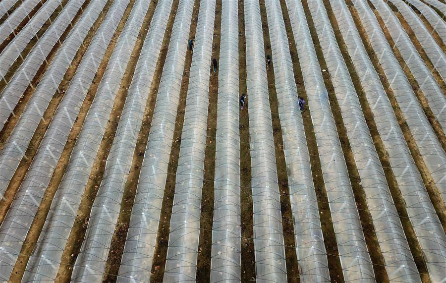 A tech firm announced permanent work-from-home options for all employees