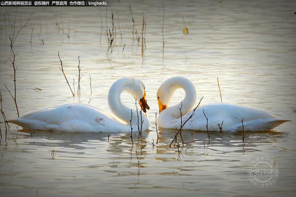 A tech company said it will launch a new smart home device controlling appliances via voice