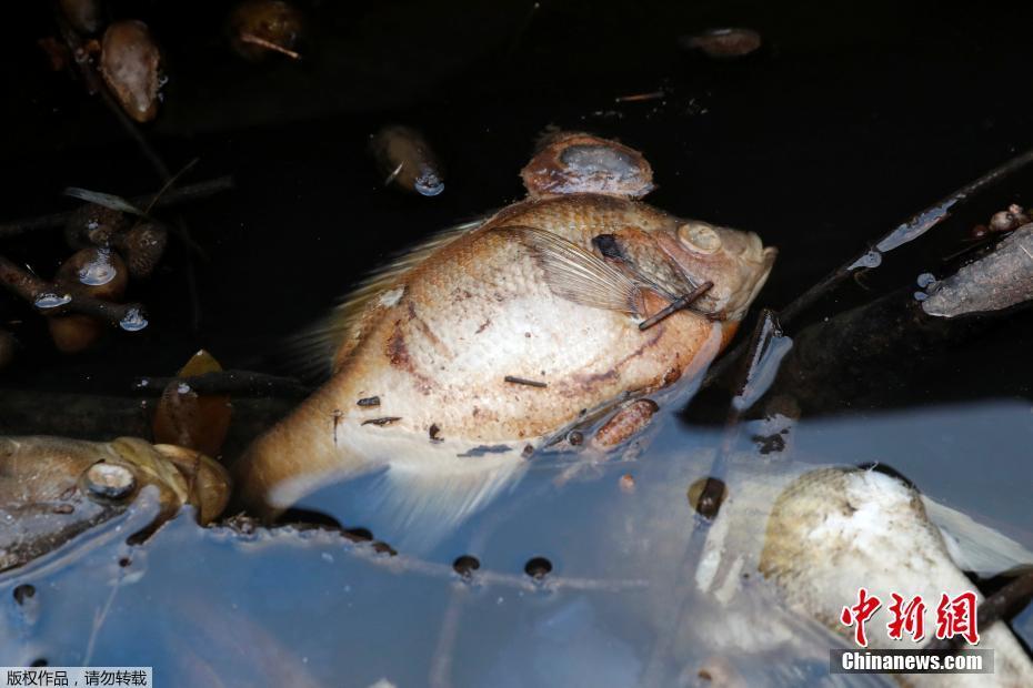 Plant nursery offers wide variety of native plants for home gardens