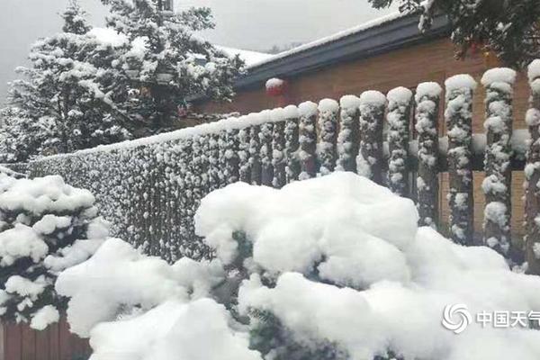 The city held a food festival featuring dishes from different cultures around the world