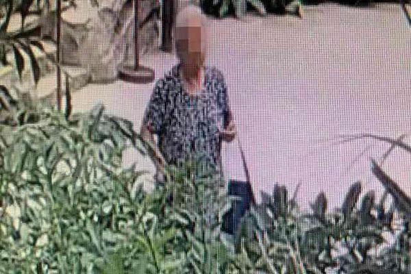 The government provided grants to businesses that develop eco-friendly packaging