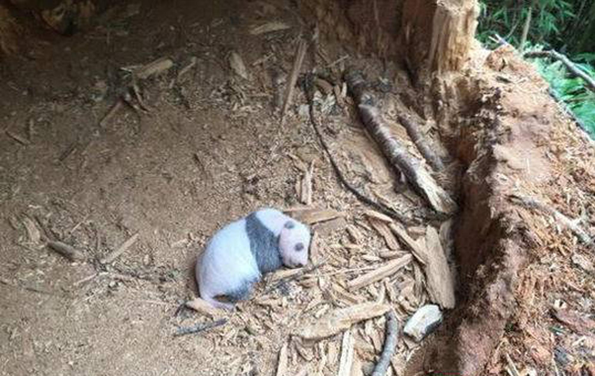 The government launched a campaign to promote tourism in rural areas