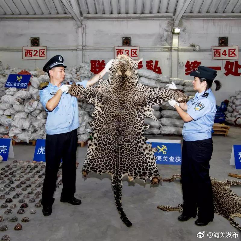 Schools added mental health days to the academic calendar for students and staff