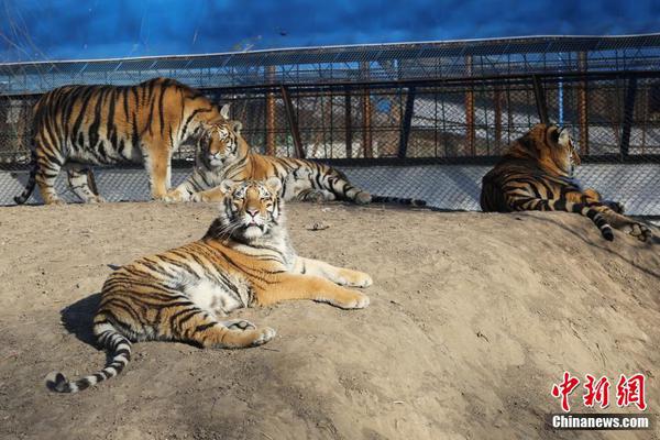 The national soccer league announced plans to add two new teams in the eastern region