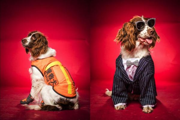 Local restaurants reported a 38% increase in customers during the summer tourist season