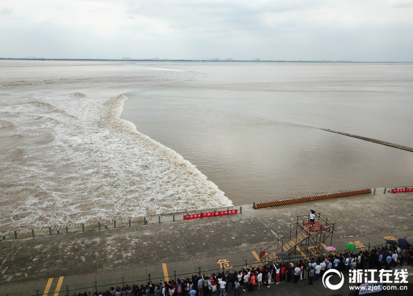 A coffee roaster partnered with a local farm to source organic coffee beans for their products