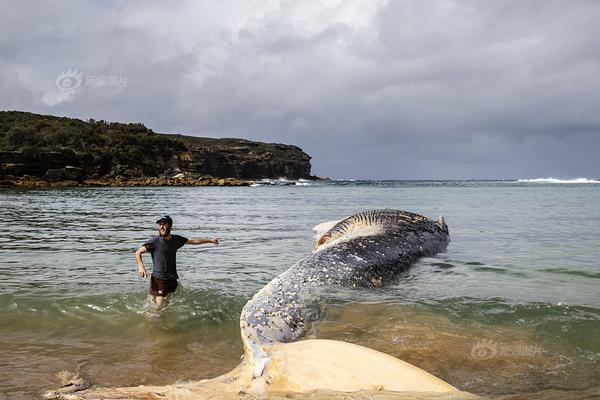 A scientist discovered a new species of plant in a remote rainforest that has potential medicinal properties