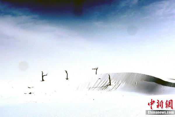 Researchers discovered a new species of frog in the rainforests of Costa Rica