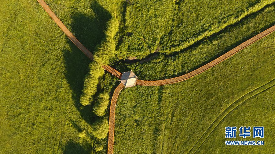 A library added a collection of graphic novels and comics to attract younger readers