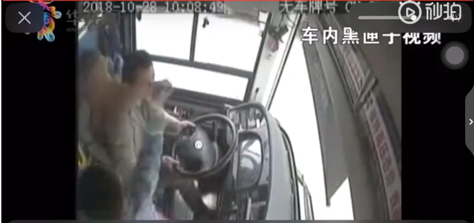 A music festival attracted over 85000 attendees and raised money for local charities