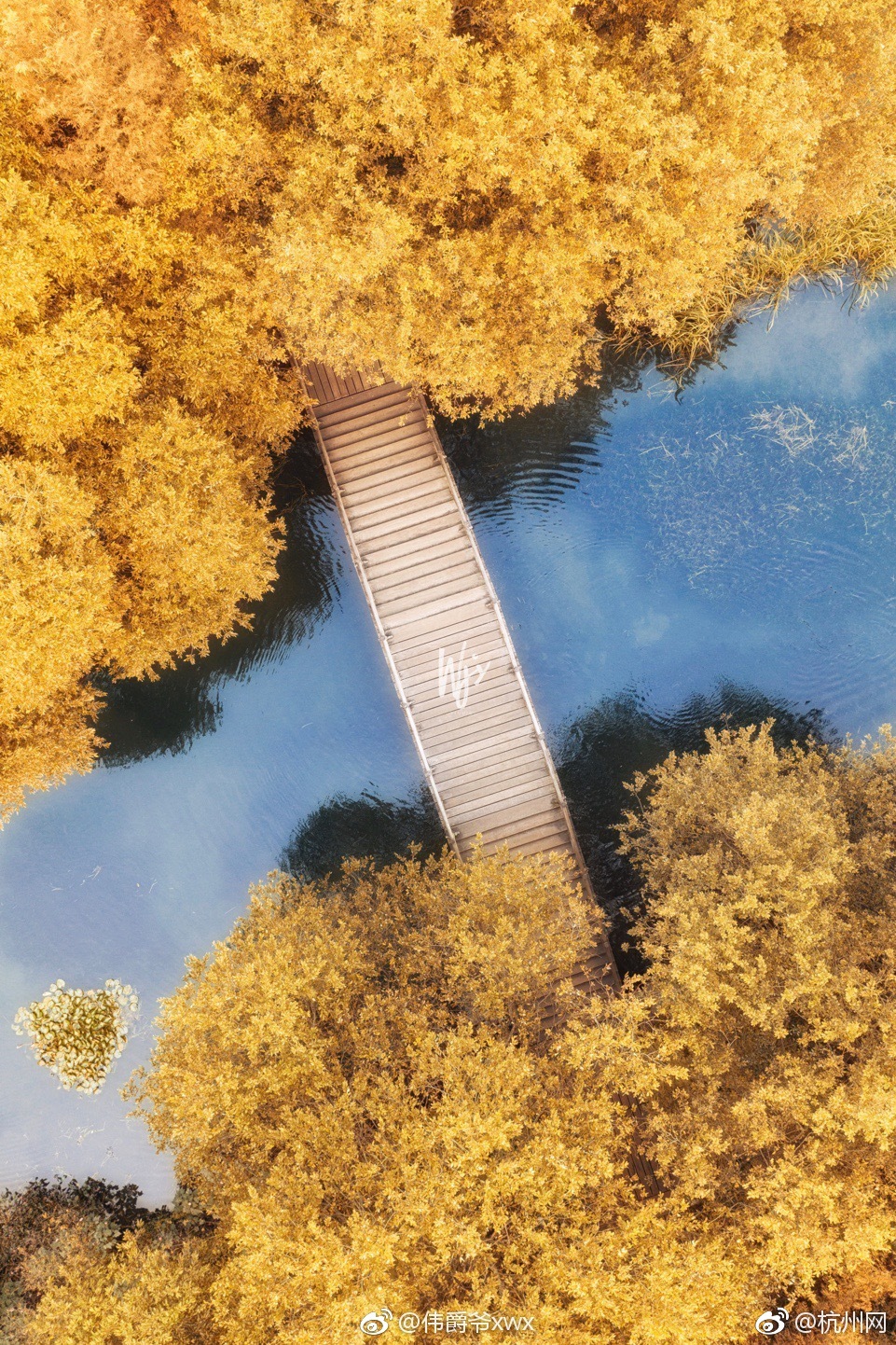 Engineers built a new bridge that can withstand earthquakes and heavy flooding