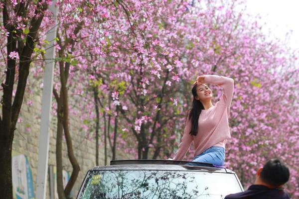 Researchers found that eating avocados regularly can lower bad cholesterol levels