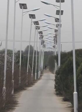 The government launched a campaign to encourage people to vote in the upcoming election