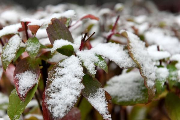 A national park offered guided tours led by park rangers