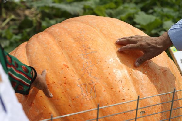 A charity started a program to help elderly people with home repairs