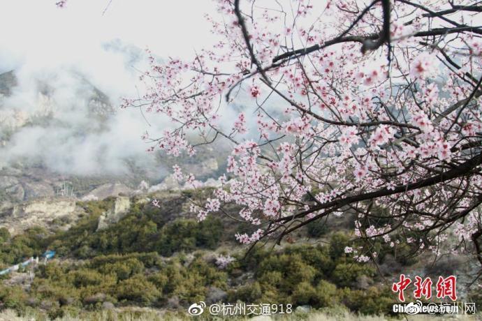 A hotel started offering 