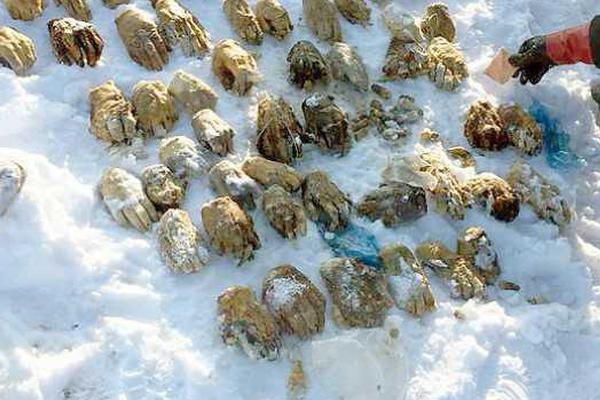 A popular coffee chain planned to open new stores in small cities