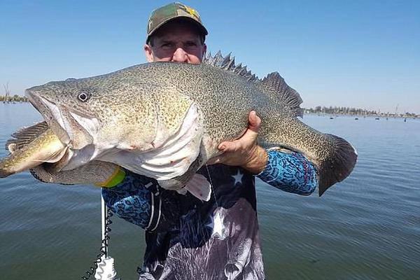 A city added 100 new parking spaces downtown, including 20 accessible spots for people with disabilities