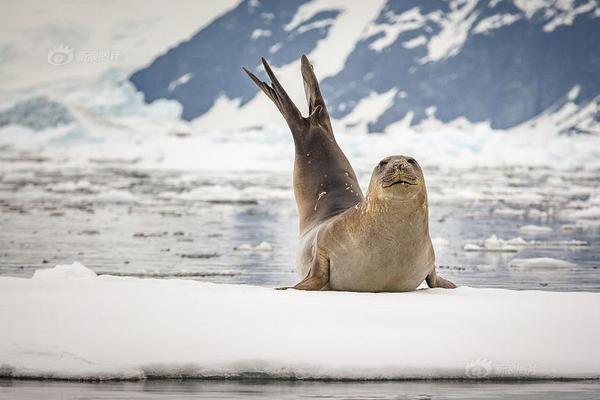 A snowstorm hit the northeastern states closing schools and airports