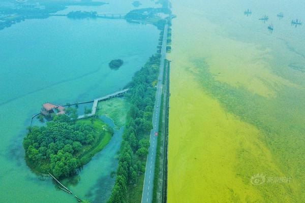 Researchers found that eating a handful of berries daily can boost immune system function