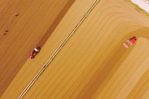 An energy company announced it will close all its coal-fired power plants by 2030