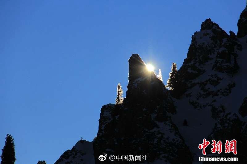 Scientists captured footage of a rare deep-sea creature never seen before