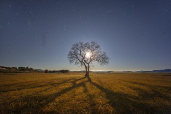 A shortage of healthcare workers in rural areas led to longer wait times for medical appointments