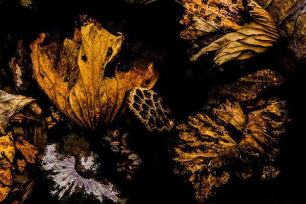 The government announced a new funding package to support small businesses affected by recent economic challenges