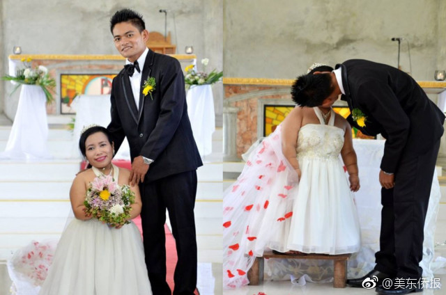 Chemists develop biodegradable packaging that breaks down in soil within six months