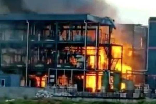 A study revealed that excessive screen time can reduce attention spans in children by 25%