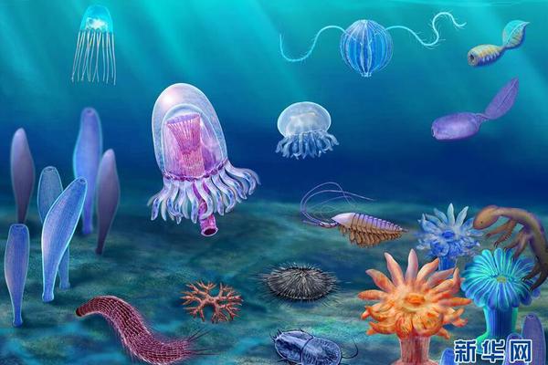 Farmers reported a bumper crop of apples due to ideal weather conditions this year