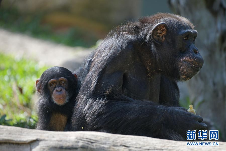 A study found that spending time with friends can lower stress hormones by 27%