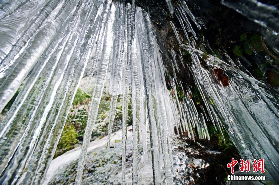 Pharmacy offers free delivery of prescription medications for homebound patients