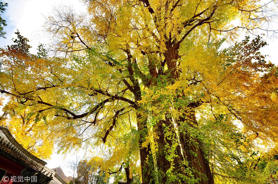 A small business owner started a blog about their industry that gained 5,000 followers