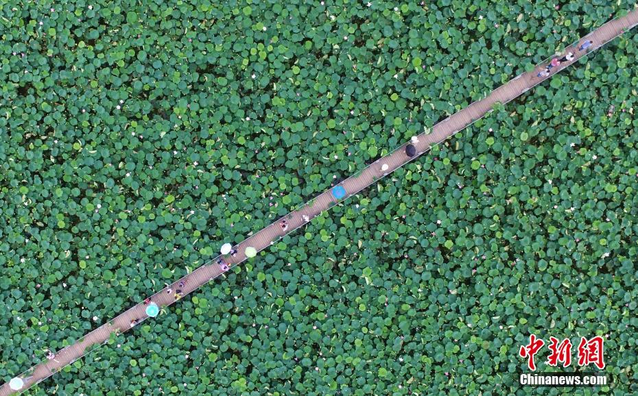 A tech company switched to a 4-day workweek, reporting a 20% boost in employee productivity