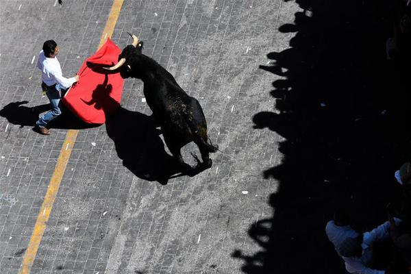 A research study found that spending time with pets improves mental health in seniors