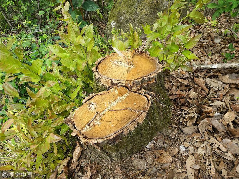 Weather conditions caused delays to flights at the main airport