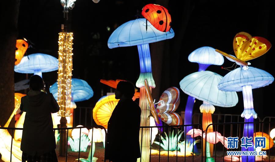 Motorcycle show features custom bikes from local builders and national brands