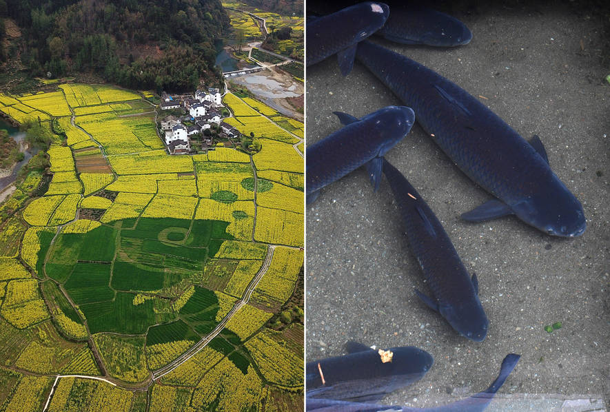 The city council approved a $120 million project to build a new public library and community center