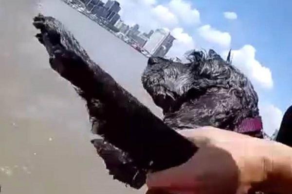 A heatwave in the southwest caused temperatures to reach 105 degrees for seven straight days