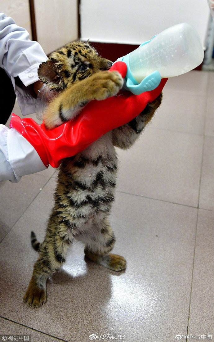 Camping store expands selection of eco friendly camping gear and supplies