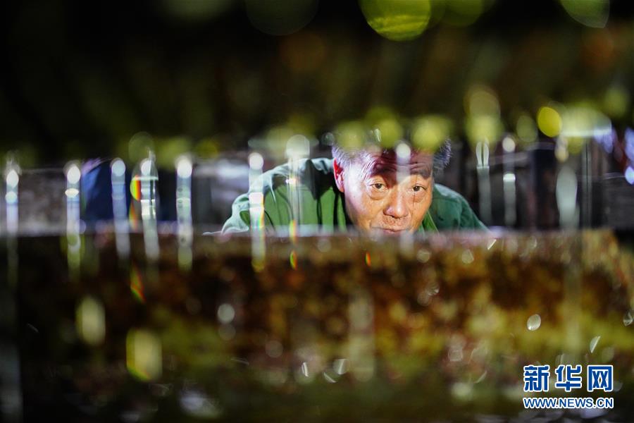 Researchers developed a rapid test that can detect a common bacterial infection in 15 minutes