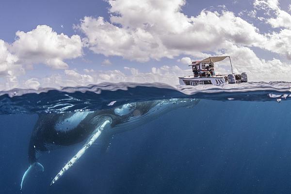 Heavy rainfall caused widespread flooding in coastal regions, forcing hundreds of residents to evacuate their homes.